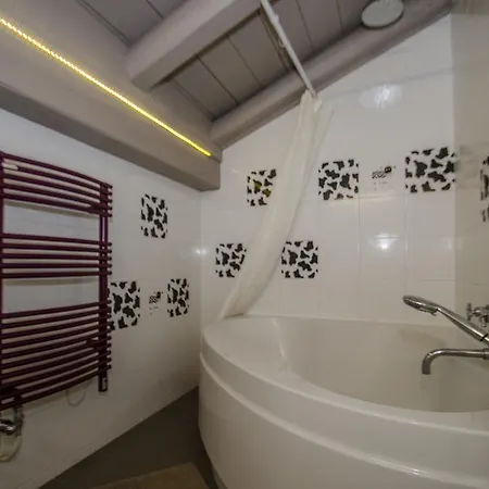 Apartament Shiva Chamonix