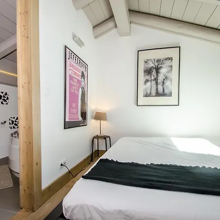 Apartament Shiva